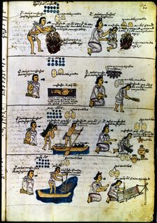 Codex Mendoza (1535 - 1550), hieroglyphic depicting Aztec methods of education... Creator: Unknown