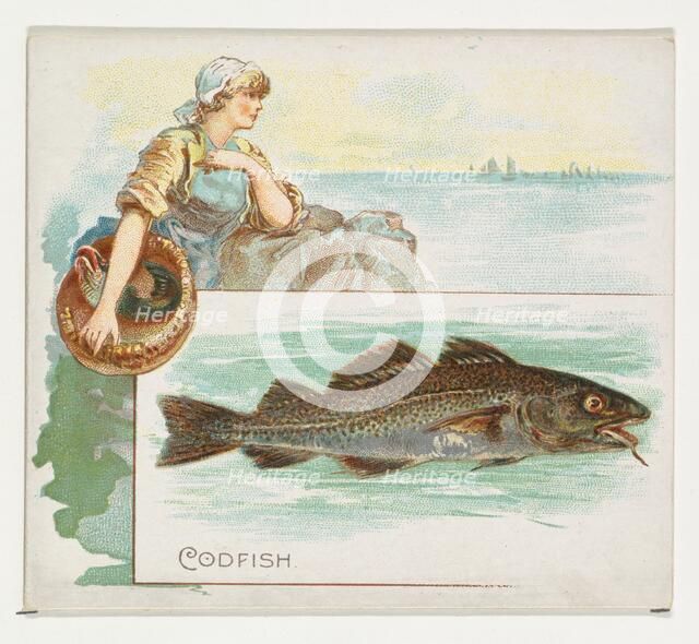 Codfish, from Fish from American Waters series (N39) for Allen & Ginter Cigarettes, 1889. Creator: Allen & Ginter.