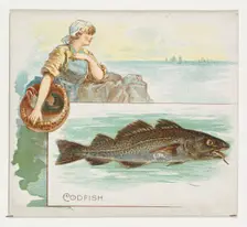 Codfish, from Fish from American Waters series (N39) for Allen & Ginter Cigarettes, 1889. Creator: Allen & Ginter