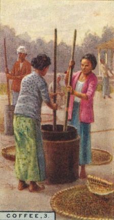 Coffee, 3. Hulling the Beans, Java 1928