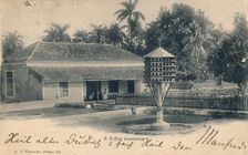 Coffee plantation, c1900