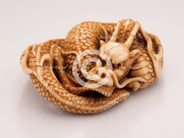 Coiled Dragon, 18th century. Creator: Tomotada.