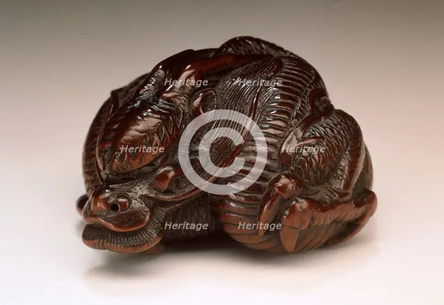 Coiled Dragon, First half of 19th century. Creator: Unknown.