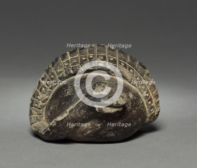 Coiled Snake, before 1921. Creator: Unknown.