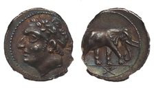 Coin of Hannibal Barca. Carthage. (Obverse: Hannibal, Reverse: Elephant), ca. 213-210 BC