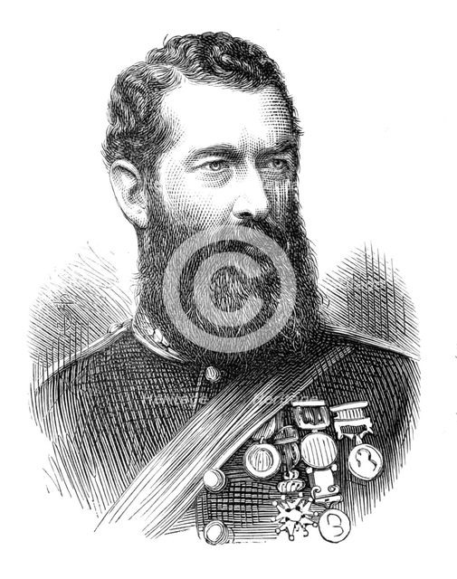 Col. F. W. Festing, C.B., Royal Marine Artillery, 1874. Creator: Unknown.
