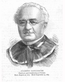 'Colestin Ganglbauer. Cardinal, and Archbishop of Vienna 1890. Creator: Unknown