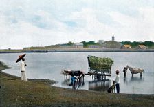 Colombo, Ceylon, c1890. Artist: Gillot