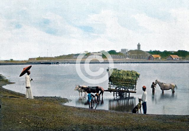 Colombo, Ceylon, c1890. Artist: Gillot