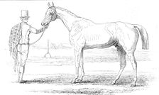Colonel Peel's "Orlando", the winner of the Derby, drawn by J.F. Herring Sen. Esq., 1844. Creator: Unknown