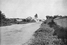 Colonia de S. Bernardo (Colony of Sao Bernardo do Campo), 1895. Artist: Axel Frick