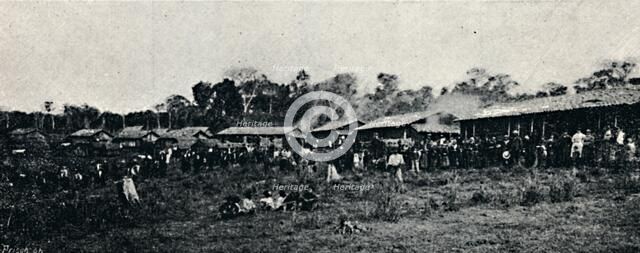 'Colonia Italiana (Fazenda Arindiuba)', 1895. Artist: Axel Frick.