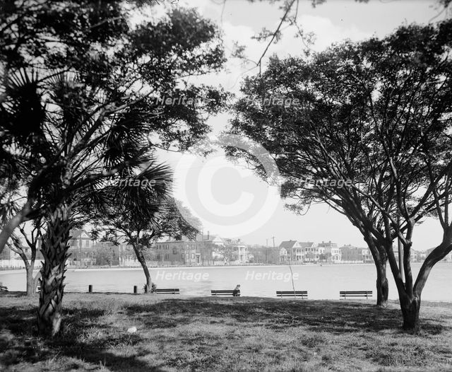 Colonial Lake, Charleston, S.C., between 1900 and 1910. Creator: Unknown.