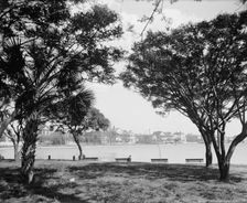 Colonial Lake, Charleston, S.C., between 1900 and 1910. Creator: Unknown