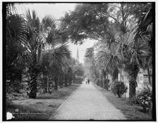 Colonial Park, Savannah, Ga., c1907. Creator: Unknown