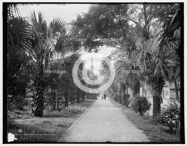 Colonial Park, Savannah, Ga., c1907. Creator: Unknown.