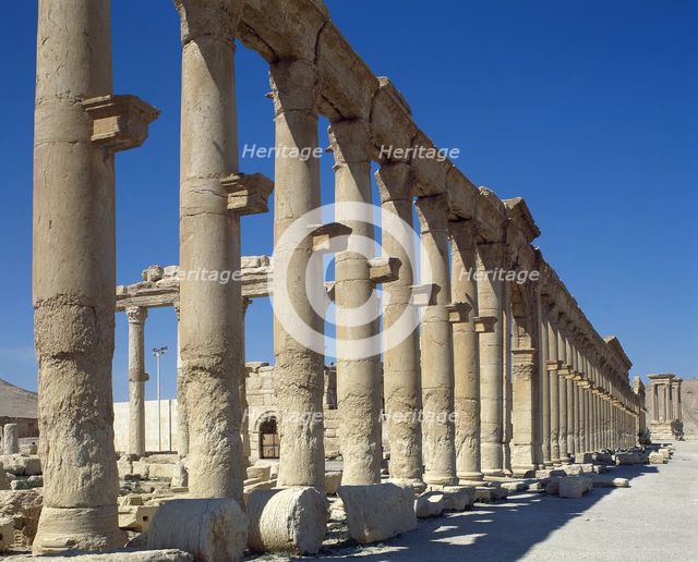 Colonnade, ruins of Palmyra, Syria, 3rd century, (2001).  Creator: LTL.