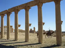 Colonnade, ruins of Palmyra, Syria, 3rd century (2001). Creator: LTL