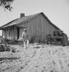 Colored tractor driver and empty cabin, Aldridge Plantation near Leland, Mississippi, 1937. Creator: Dorothea Lange