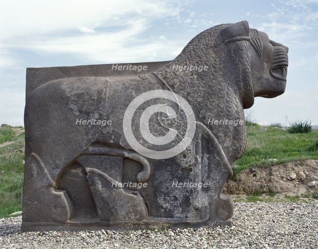 Colossal basalt lion, Neo-Hittite, Ain Dara Temple, Syria, 10th to 8th century BC.  Creator: LTL.