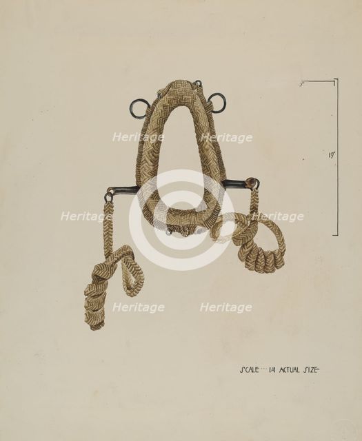 Collar For Burro, c. 1936. Creator: Roberta Elvis.