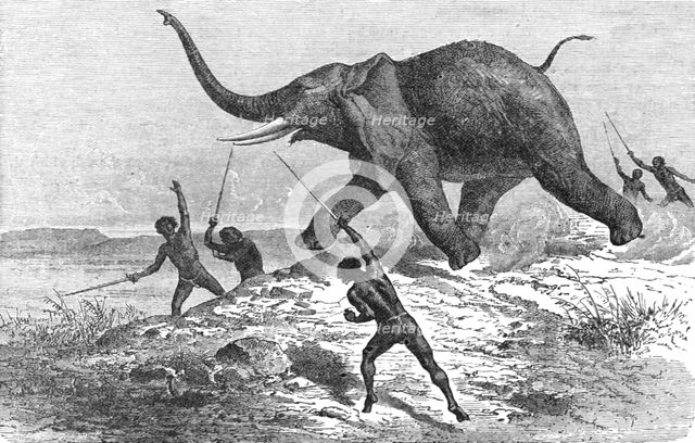 'Collecting Ivory; Life in a South African Colony', 1875. Creator: Unknown.