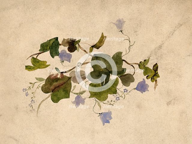 Collection of blue flowers and ivy leaves. Creator: Unknown.