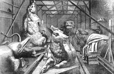 Collection of extinct animals in the Crystal Palace, Sydenham 1854. Creator: Unknown