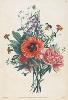 Collection of Flowers and Fruits Painted after Nature: Bouquet of Foxglove, Clematis..., 1805. Creator: Louis Charles Ruotte (French, 1754-1806); Jean Louis Prévost