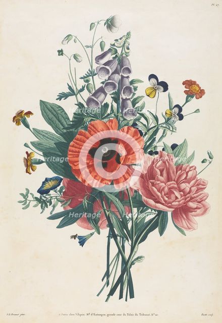Collection of Flowers and Fruits Painted after Nature: Bouquet of Foxglove, Clematis..., 1805. Creator: Louis Charles Ruotte (French, 1754-1806); Jean Louis Prévost.