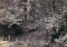 Colwyn Bay. The Pool in the Wood, 1870s. Creator: Francis Bedford