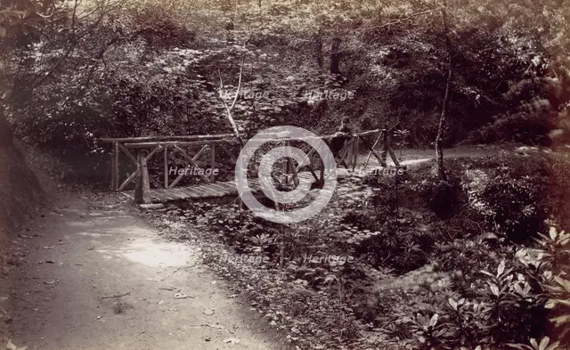 Colwyn Bay. Rustic Bridge in the Wood, 1870s. Creator: Francis Bedford.
