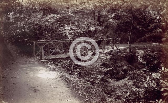 Colwyn Bay. Rustic Bridge in the Wood, 1870s. Creator: Francis Bedford.