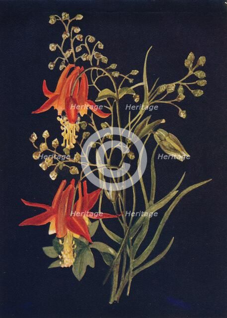 'Columbine',  c1915, (1915). Artist: Emma Graham Clock.