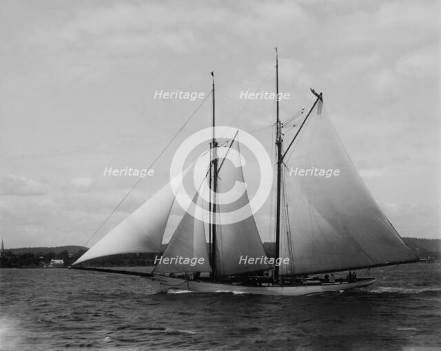 Comanche, 1894 March 7. Creator: John S Johnston.