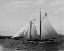 Comanche, 1894 March 7. Creator: John S Johnston