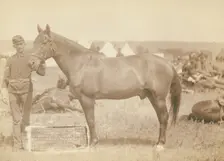 Comanche, the only survivor of the Custer Massacre, 1876 History of the horse and regimental...1887. Creator: John C. H. Grabill