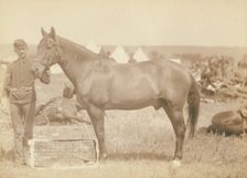 Comanche, the only survivor of the Custer Massacre, 1876 History of the horse and regimental...1887. Creator: John C. H. Grabill