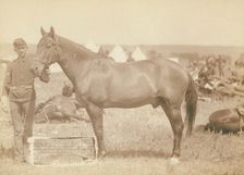 Comanche, the only survivor of the Custer Massacre, 1876 History of the horse and regimental...1887. Creator: John C. H. Grabill