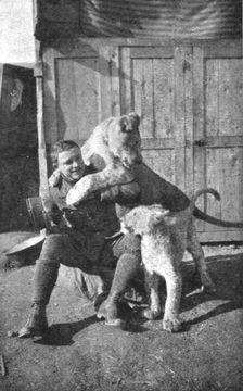 'Combat Aerien; Deux "poilus" de l'air; Lufbery et ses lionceaux "Wisky" et "Soda" avec..., 1918. Creator: Unknown