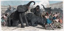 Combat between gladiators and circus elephants, engraving 1862