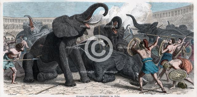 Combat between gladiators and circus elephants, engraving 1862.