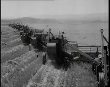Combine Harvesters Crossing Large Fields, 1932. Creator: British Pathe Ltd