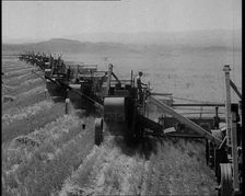 Combine Harvesters Crossing Large Fields, 1932. Creator: British Pathe Ltd