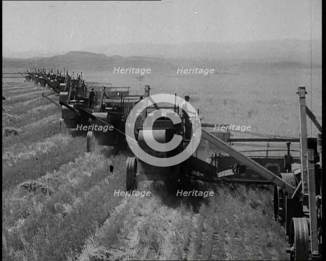 Combine Harvesters Crossing Large Fields, 1932. Creator: British Pathe Ltd.
