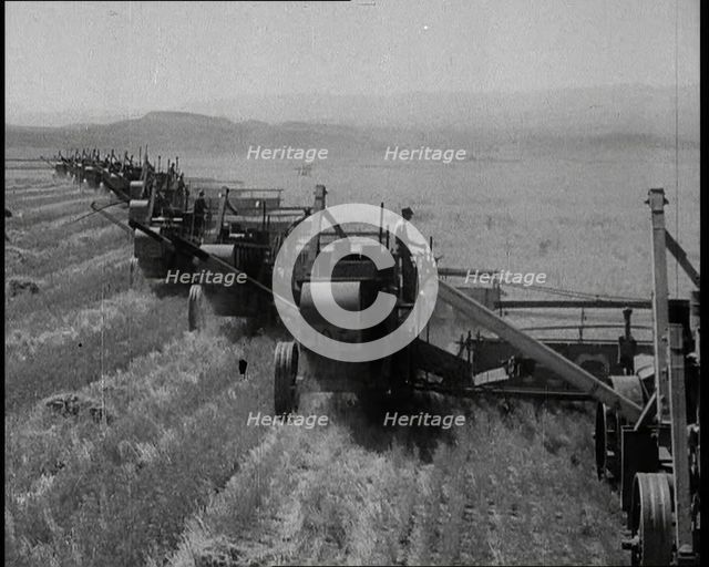 Combine Harvesters Crossing Large Fields, 1932. Creator: British Pathe Ltd.