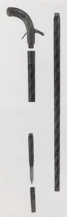 Combined Walking-Cane, Gun, Pistol, Sword, and Dagger, India subcontinent, mid-19th century. Creator: Unknown