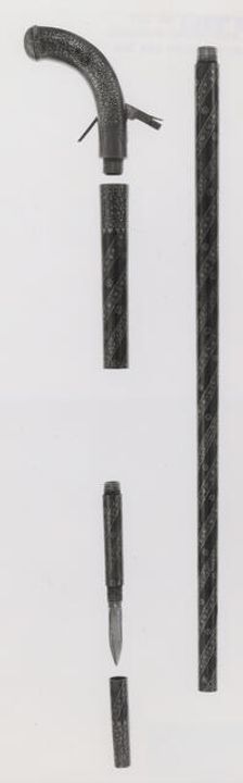 Combined Walking-Cane, Gun, Pistol, Sword, and Dagger, India subcontinent, mid-19th century. Creator: Unknown