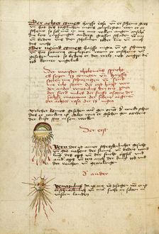 Comets, shortly after 1464. Creator: Unknown