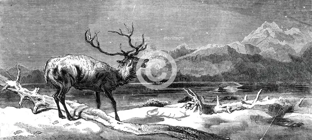 "Coming Events Cast Their Shadows Before Them", painted by E. Landseer, R.A., 1844. Creator: Unknown.